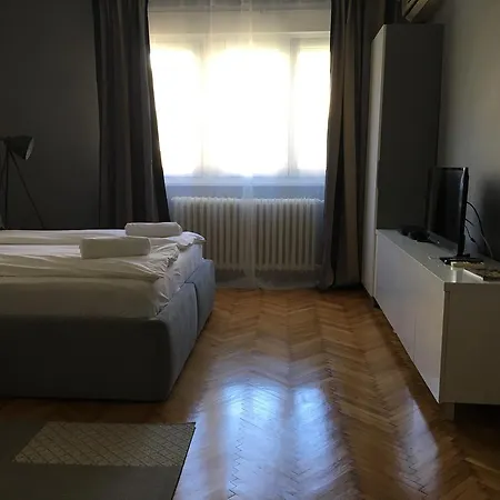 Silver Pedestrian Zone * Belgrad