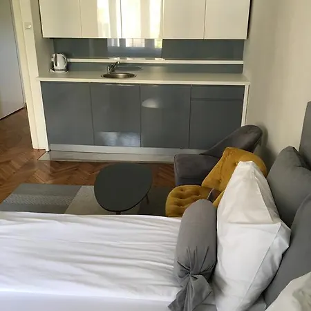 Silver Pedestrian Zone Beograd